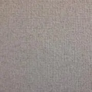 きっちゃんの画像