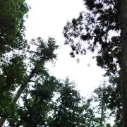 整理整頓　断捨離中！の画像