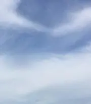 ナオ（翌日以内発送）
