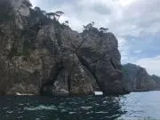 キリンの画像