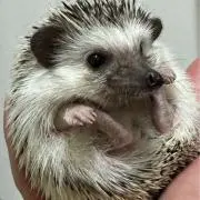じんの画像