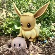 ユズの画像