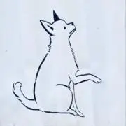 あいすの画像