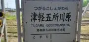 グティの画像
