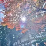 Haruru✳︎の画像