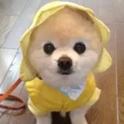 ☆ふうま☆