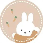 Chiの画像