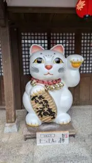 まるちゃんの画像