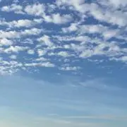 CRの画像