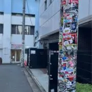 zooの画像
