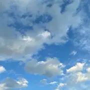 ふぁんたの画像
