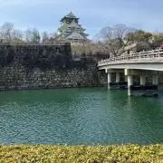 にろとん