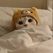 まろんの画像