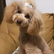 もちもち
