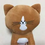 タッキーの画像