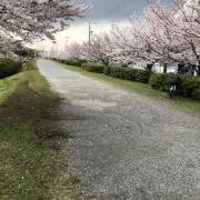 ニンジャの画像