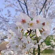 燐(プロフィールの必読お願い致します。)の画像