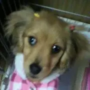 なお