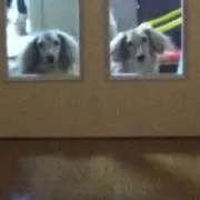 atmの画像