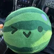 たきしょーの画像