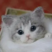 ポパイ