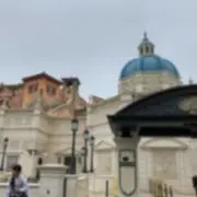 チェリーの画像