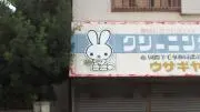 Sueing51の画像