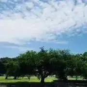 おひるねまくらの画像