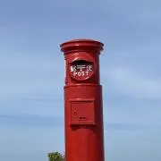 さくらんぼの画像