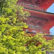 みーさの画像