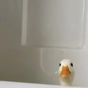 なっちの画像
