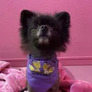 ★LUMI★の画像