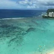 ぴんの画像