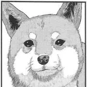 かるみな