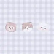 くるみの画像
