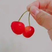 ちんちろりんりん