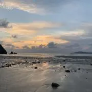 ESの画像