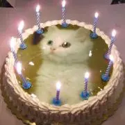 ぴよちゃんの画像