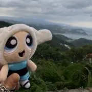 バターカップの画像