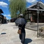 ancoの画像