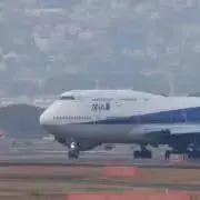 mame6565の画像