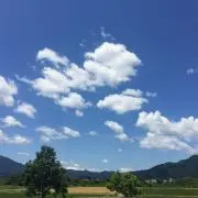 スカイ(プロフ必読)の画像