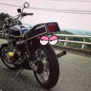 りゅーくん。