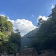 クロロフィルの画像