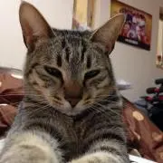 ☆あゆみ☆の画像