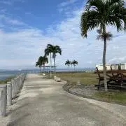 moanaの画像