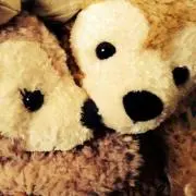 プロフ必読♡Suffyの画像