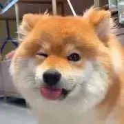 ☆きらり☆