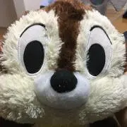 しゅん