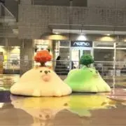 kikiの画像